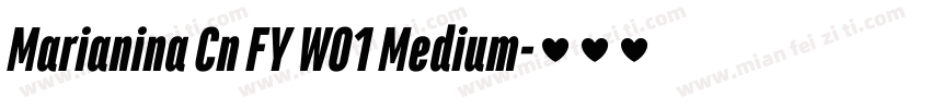Marianina Cn FY W01 Medium字体转换